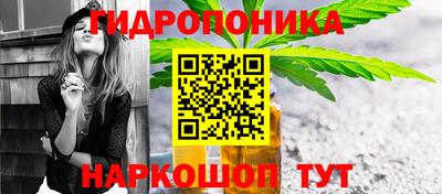 индика Краснокаменск