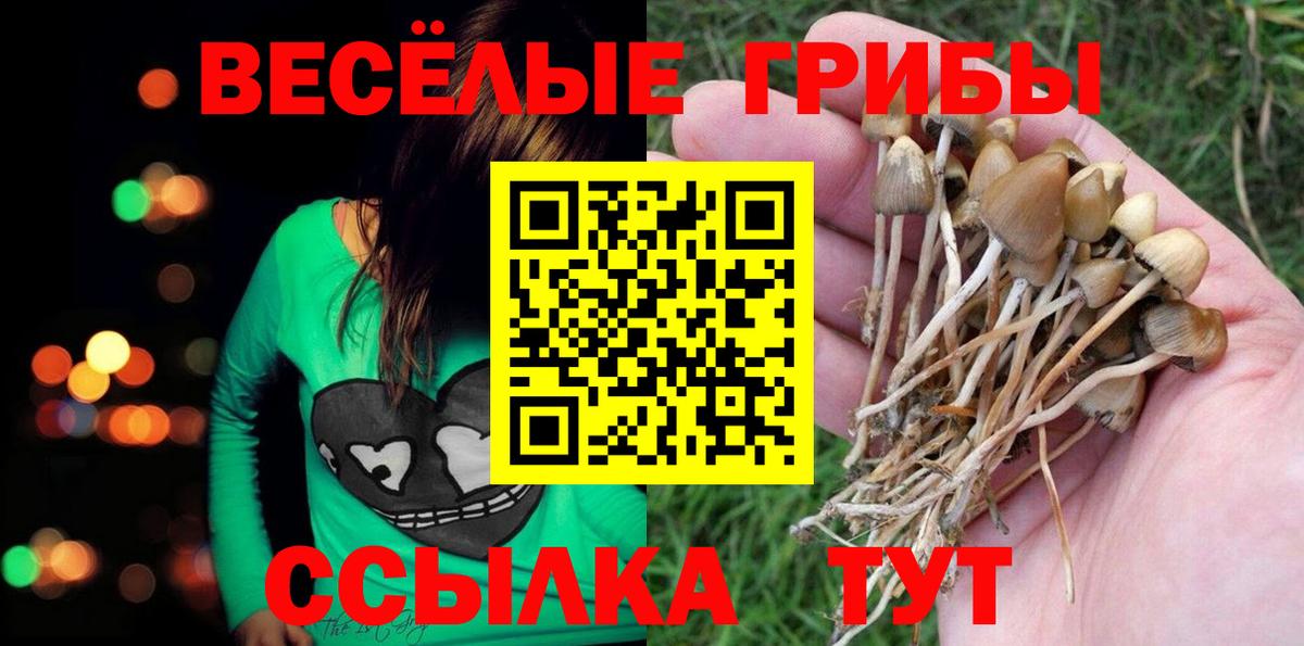 Псилоцибиновые грибы прущие грибы Зерноград