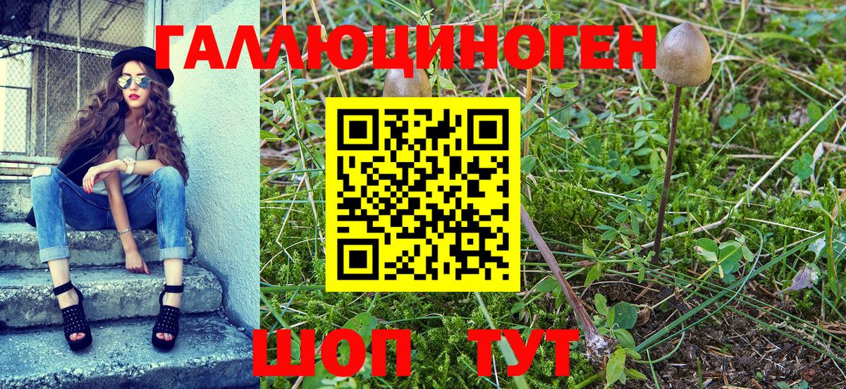 Галлюциногенные грибы мухоморы  Вход с VPN  Зерноград  Галлюциногенные грибы Cubensis 