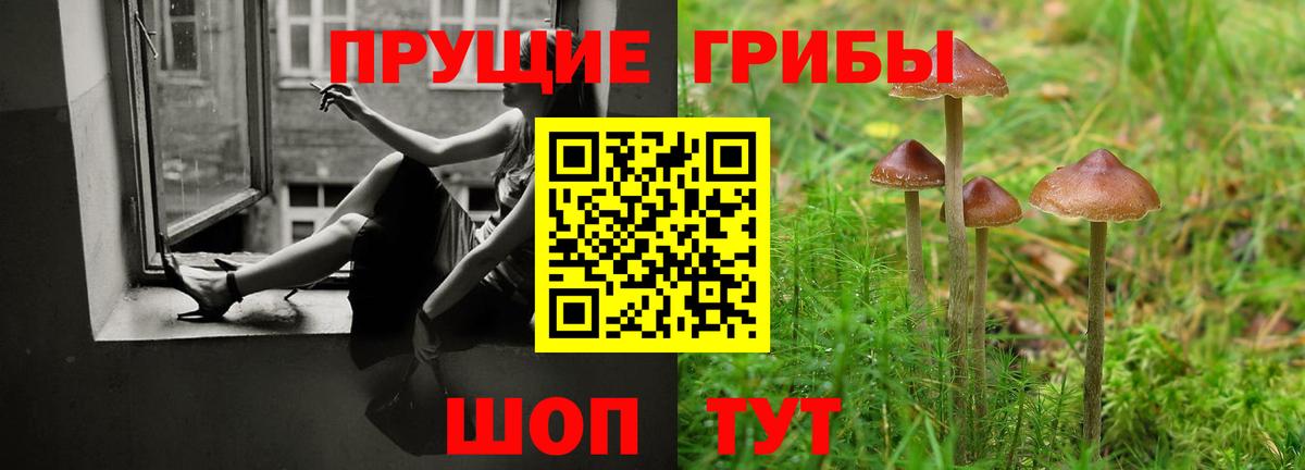 МАРИХУАНА  Каннабис  Меф кристаллы  Зерноград  ГАШИШ  Вход с VPN  Альфа ПВП СК  